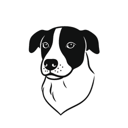 PipoCode
